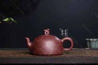 《龜兔賽跑》  《龜兔賽跑》