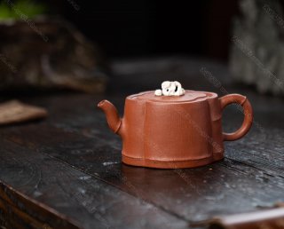 海棠竹  海棠竹