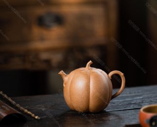 高南瓜  高南瓜