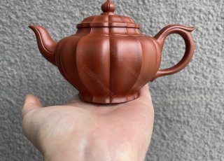 葵笑櫻  葵笑櫻