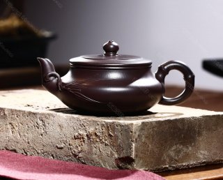 扁櫻竹  扁櫻竹