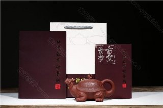 《百壽龍龜》  《百壽龍龜》