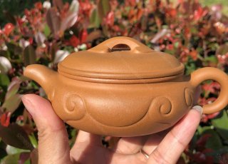 扁腹如意  扁腹如意