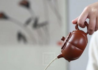 《菱花海棠》  《菱花海棠》