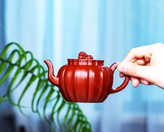 筋紋獅球  筋紋獅球