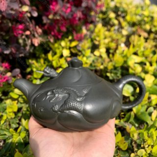 魚化龍  魚化龍