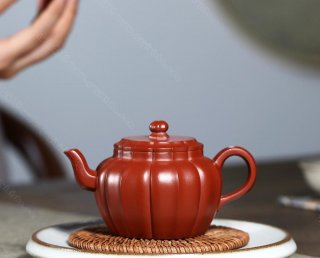 筋紋蓮花  筋紋蓮花