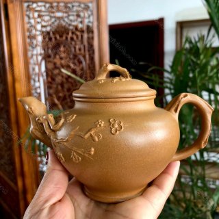 梅報春  梅報春