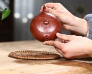 《扁乳西施鳥趣》