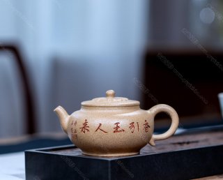 玉蘭花開  玉蘭花開