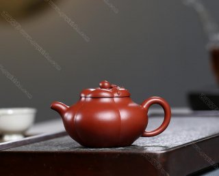 上合桃  上合桃