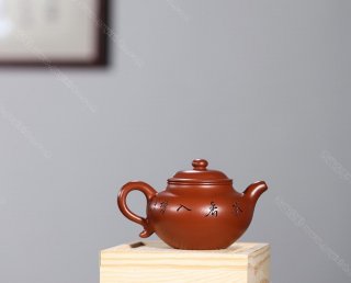 扁鼓蓮子  扁鼓蓮子