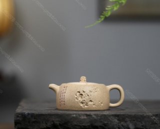 太湖石井  太湖石井