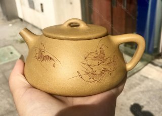 大口石瓢  大口石瓢