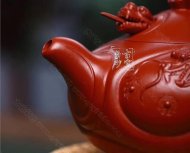 《魚化龍套組》