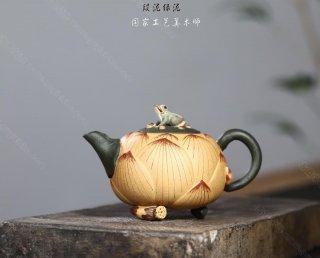 青蛙蓮子  青蛙蓮子