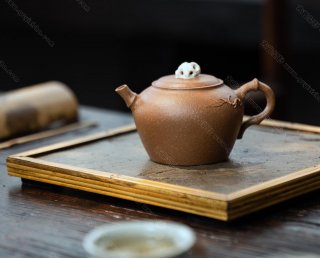 小竹石  小竹石