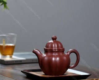 筋紋掇球  筋紋掇球