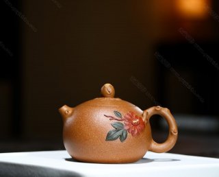 富貴花開(kāi)  富貴花開(kāi)