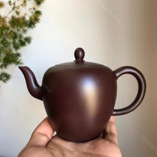 美人肩  美人肩