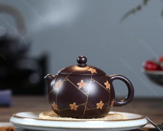 冰梅西施  冰梅西施