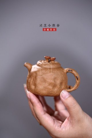 《靈芝小供春》  《靈芝小供春》