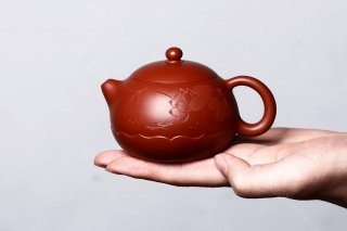 荷風西施  荷風西施