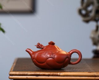 魚化龍  魚化龍