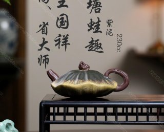 荷塘蛙趣  荷塘蛙趣