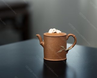 竹節(jié)石  竹節(jié)石