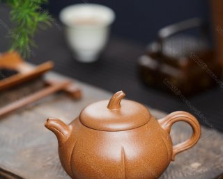 南瓜壺  南瓜壺