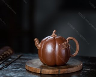 貼葉高南瓜  貼葉高南瓜