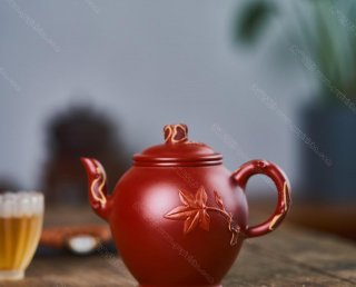 丹楓迎秋  丹楓迎秋