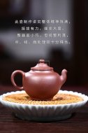 《小禪意》宜興紫砂壺手工助理工藝美術師紫泥壺茶壺茶具