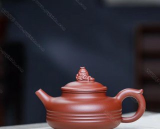 如魚似水  如魚似水