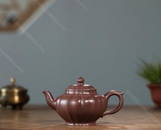 筋紋笑櫻  筋紋笑櫻