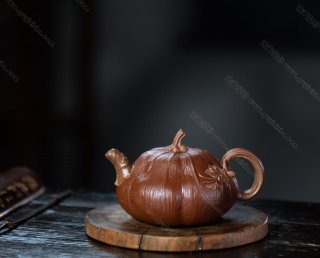 貼葉矮南瓜  貼葉矮南瓜