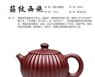 《筋紋西施》  《筋紋西施》