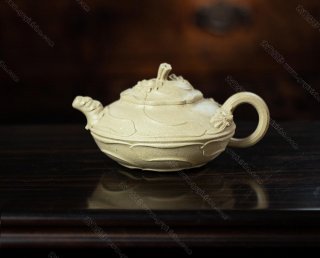 風卷葵  風卷葵