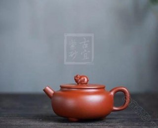 《福豬》  《福豬》