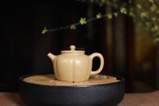 《菊蕾》宜興紫砂壺助理工藝美術師手工標本級本山段泥泡茶壺菊蕾茶具  《菊蕾》宜興紫砂壺助理工藝美術師手工標本級本山段泥泡茶壺菊蕾茶具